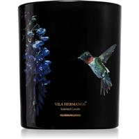 Vila Hermanos Jungletopia Hummingbird scented candle 200 g