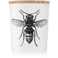 Vila Hermanos Insect Calabrone scented candle 75 g