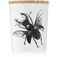 Vila Hermanos Insect Lucanus Cervus scented candle 75 g