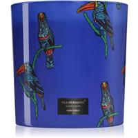 Vila Hermanos Jungletopia Rain Forest scented candle 1450 g