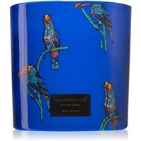 Vila Hermanos Jungletopia Rain Forest scented candle 620 g