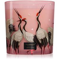 Vila Hermanos Jungletopia Tropical Garden scented candle 1450 g