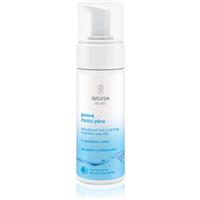 Weleda Cleansing Care gentle cleansing foam for normal and combination skin 150 ml