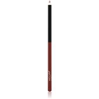 Wet n Wild Color Icon contour lip pencil shade Chestnut 1,4 g