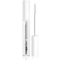 Wet n Wild Mega Clear transparent mascara for lashes and brows shade Transparent 8.5 ml
