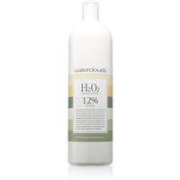 Waterclouds H202 12% vol 40 peroxide cream 12% 1000 ml