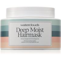 Waterclouds Moist Hairmask hair mask for dry and brittle hair 200 ml