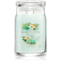Yankee Candle Aloe & Agave scented candle 567 g