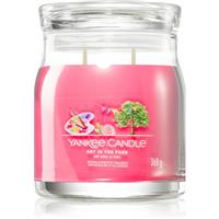 Yankee Candle Art In The Park scented candle Signature 368 g