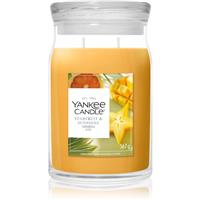 Yankee Candle Starfruit & Sunshine scented candle 567 g
