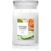 Yankee Candle Blooming Love scented candle 567 g