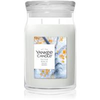 Yankee Candle Silver Birch scented candle 567 g