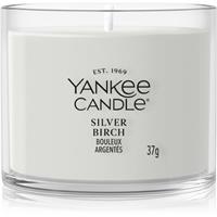 Yankee Candle Silver Birch votive candle 37 g