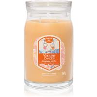 Yankee Candle Slopeside Spritz scented candle Signature 567 g