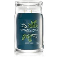 Yankee Candle Bayside Cedar scented candle Signature 567 g