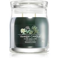 Yankee Candle Silver Sage & Pine scented candle Signature 368 g