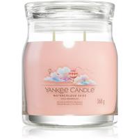 Yankee Candle Watercolour Skies scented candle Signature 368 g