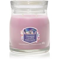 Yankee Candle Summit Stargazing scented candle Signature 368 g