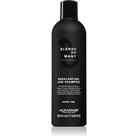 Alfaparf Milano Blends of Many Rebalancing anti-dandruff shampoo 250 ml