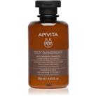 Apivita Dandruff Oily Dandruff Shampoo anti-dandruff shampoo for oily hair 250 ml