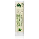 Avon Cannabis Sativa Oil Nourish & Calm Lip Balm With Hemp Oil 4,5 g