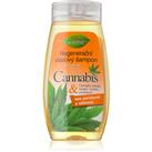 Bione Cosmetics Cannabis regenerating shampoo 260 ml