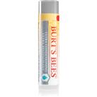 Burts Bees Lip Care balm for dry lips 4.25 g