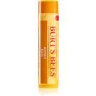 Burts Bees Lip Care lip balm with honey (with Honey & Vitamin E) 4,25 g