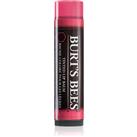 Burts Bees Tinted Lip Balm lip balm shade Hibiscus 4.25 g
