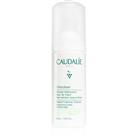 Caudalie Vinoclean foam cleanser for all skin types 50 ml