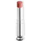 DIOR Dior Addict Refill gloss lipstick refill shade 100 Nude Look 3,2 g