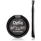 Delia Cosmetics Eyebrow Expert Eyebrow Pomade Shade Graphite 4 g