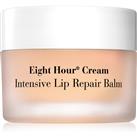 Elizabeth Arden Eight Hour intensive lip balm 10 g