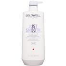 Goldwell Dualsenses Just Smooth smoothing conditioner for unruly hair 1000 ml