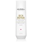Goldwell Dualsenses Rich Repair restoring shampoo for dry and damaged hair 250 ml