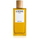 Loewe Solo Mercurio eau de parfum for men 100 ml