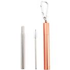 Naturalis Stainless Steel Straw Telescopic set (for everyday use)