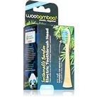 Woobamboo Eco Electric Toothbrush Head toothbrush replacement heads from bamboo Compatible with Phil