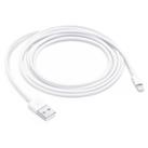 Apple Lightning to USB Cable (2m) | MD819ZM/A