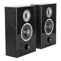 Wilson Raptor On Wall speakers - Black