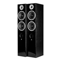 Wilson Raptor 7 Floorstanding Speakers - Black