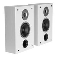 Wilson Raptor On Wall speakers - White