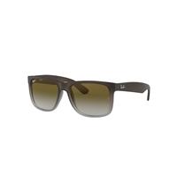 Ray-Ban Sunglasses Man Justin Classic - Brown Frame Green Lenses 51-16