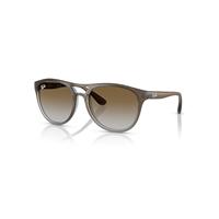 Ray-Ban Sunglasses Man Brad - Top Brown On Clear Grey Frame Green Lenses 58-17