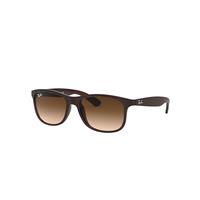 Ray-Ban Sunglasses Man Andy - Brown Frame Brown Lenses 55-17