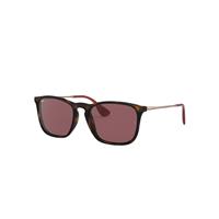 Ray-Ban Sunglasses Man Chris - Bronze-copper Frame Violet Lenses 54-18