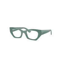 Ray-Ban Eyeglasses Unisex Zena Optics Bio-based - Algae Green Frame Clear Lenses Polarized 49-22