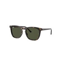 Ray-Ban Sunglasses Unisex Rb2210 - Havana Frame Green Lenses 53-21