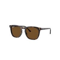 Ray-Ban Sunglasses Unisex Rb2210 - Havana Frame Brown Lenses Polarized 53-21