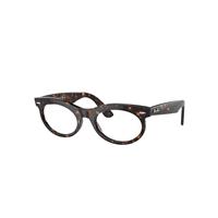 Ray-Ban Sunglasses Unisex Wayfarer Oval Transitions - Havana Frame Brown Lenses 53-22